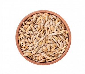 Barley