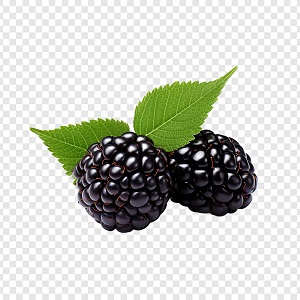 Blackberry