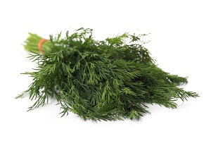 Dill