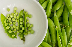 Dun pea shoots