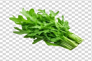 Arugula