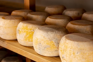 Formaggio cheese in Italian Formaggio (cheese in Italian)