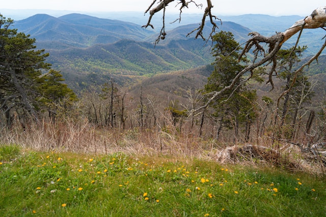 green grass field near mountain during daytime