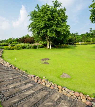 Outdoor Lawn Edging
