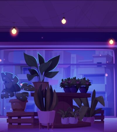 Plants in a Low-Light Room