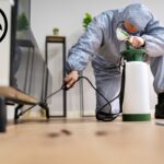 Household Pest Control