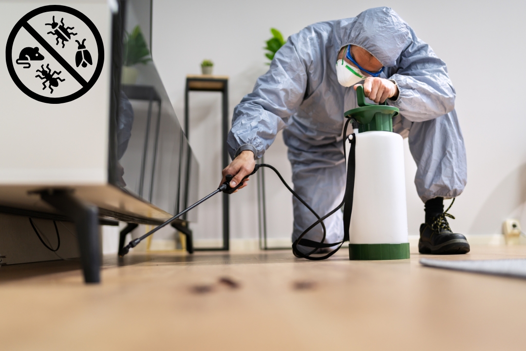 Household Pest Control