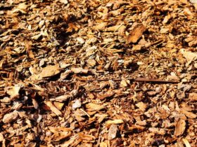 Landscaping Mulch
