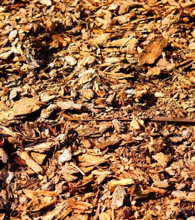 Landscaping Mulch