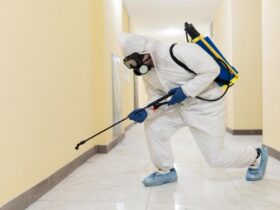 Pest Control