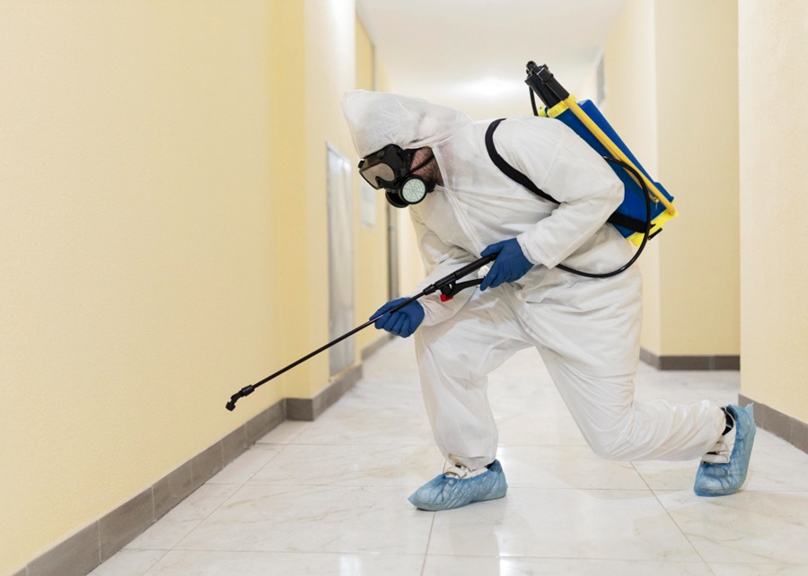 Pest Control Services