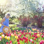 Preparing Your Garden