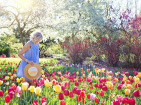 Preparing Your Garden