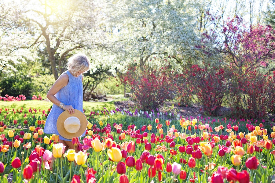 Preparing Your Garden