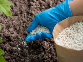 Lawn Fertilization
