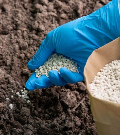 Lawn Fertilization
