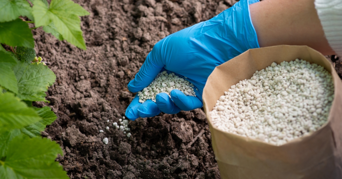Lawn Fertilization