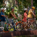Pedal Bar Tour