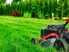 lawn care