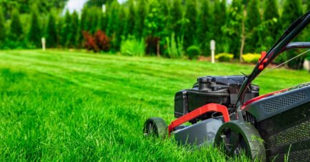 lawn care