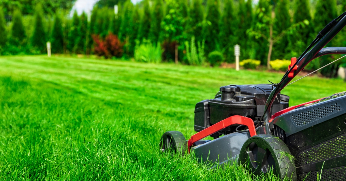 lawn care