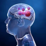 Brain Digital Image