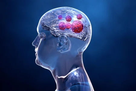 Brain Digital Image