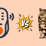 Cats vs. Tech