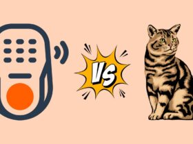 Cats vs. Tech