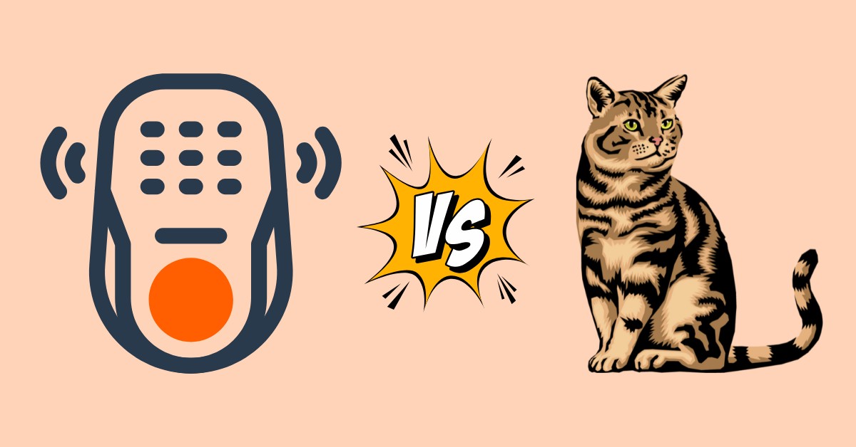 Cats vs. Tech