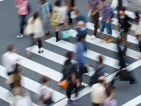 People walking on Crosswalks