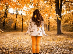 Things to do in Autumn