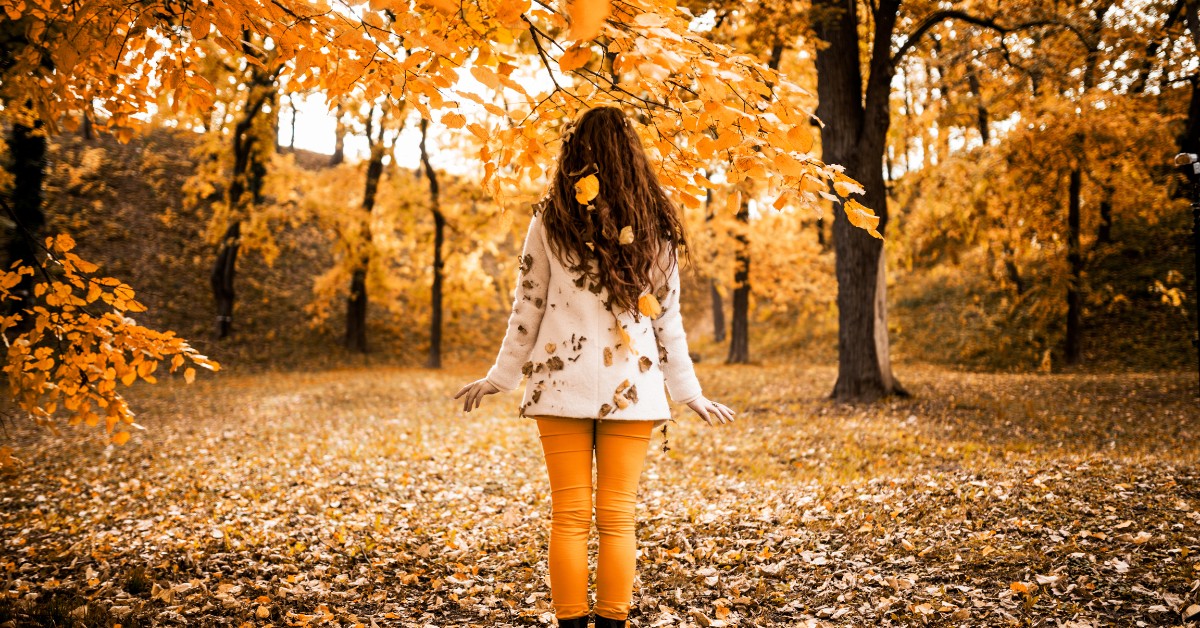 Things to do in Autumn