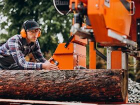 Stump Grinding