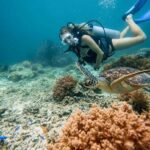 A girl snorkeling in the Ocean