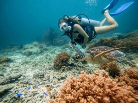 A girl snorkeling in the Ocean