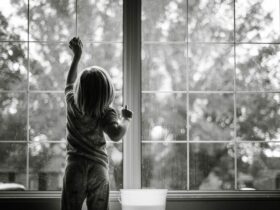 Kid-Friendly Windows