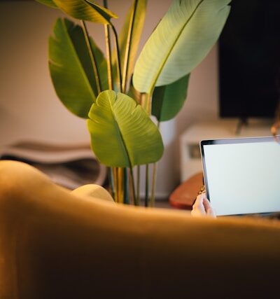 a woman sitting on a couch using a laptop computer