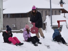 Children Sledding in Snowy