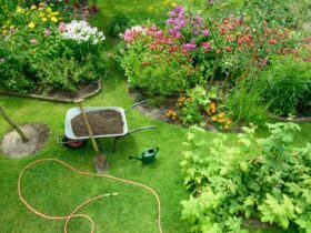 Messy Garden