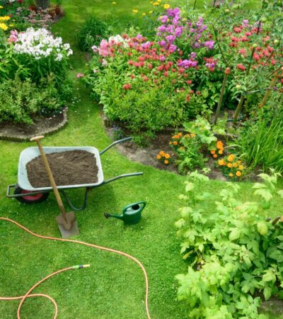 Messy Garden