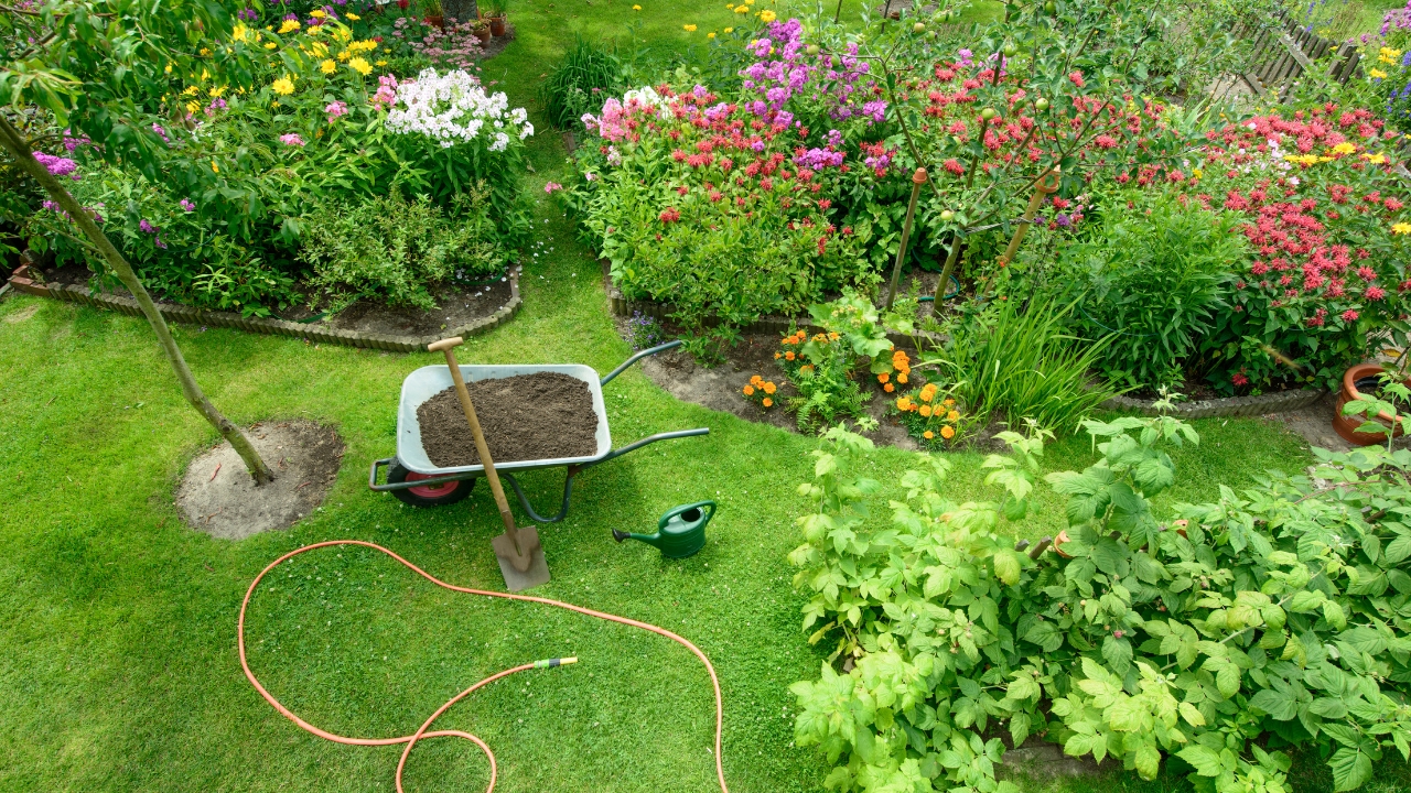 Messy Garden