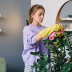 Pest Prevention