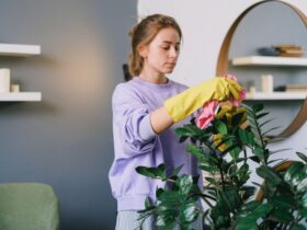Pest Prevention