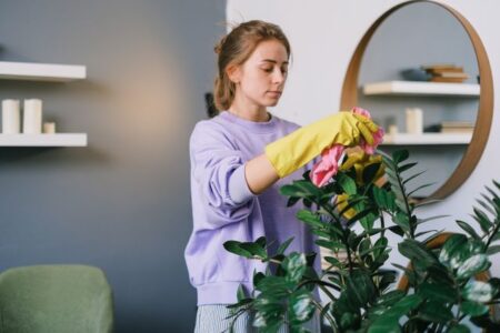 Pest Prevention